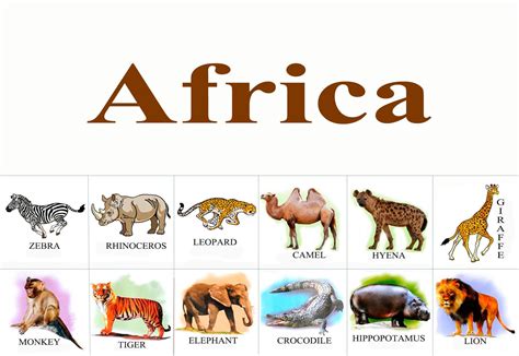 Flash cards African animals Safari animals Digital matching | Etsy