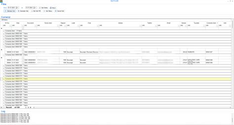 Softone ERP integration with Cargus Courier - Dynamic Puzzle