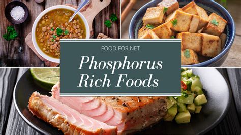 22 Phosphorus Rich Foods To Help You Balance Your Phosphorous Levels ...