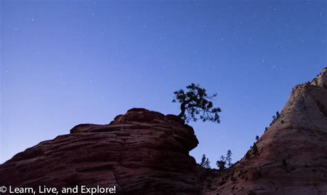 Zion National Park, Utah - Images of Fall ~ Learn, Live, and Explore!