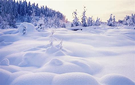 Lapland | Best Christmas Spot Of Finland | Travel And Tourism