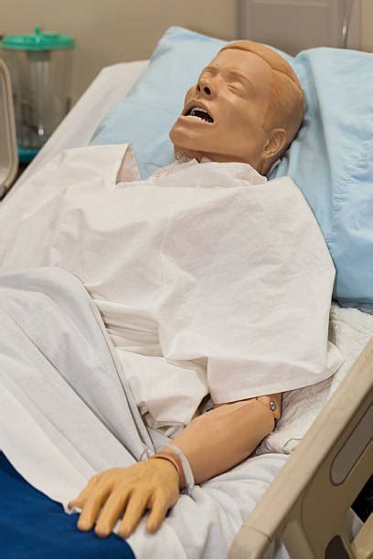 Medical Simulation Mannequins Stock Photos, Pictures & Royalty-Free Images - iStock