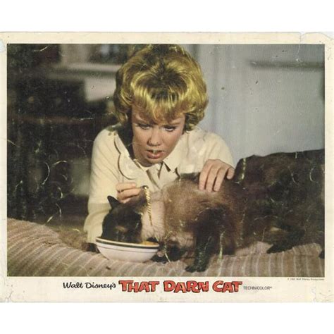 That Darn Cat - movie POSTER (Style F) (11" x 14") (1965) - Walmart.com - Walmart.com