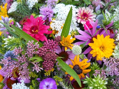 July flower bouquets | Ripley Farm Dover-Foxcroft Maine