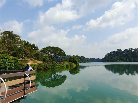 13 Nature Reserves & Parks In Singapore For And Scenic Walking Trails