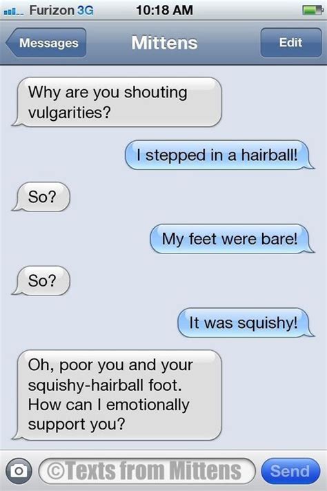 40+ Funny Times People Got Pranked Via Text Messages | Text from mittens, Funny text messages ...