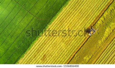 4,822 Rice Field In Combine Harvester Images, Stock Photos & Vectors ...