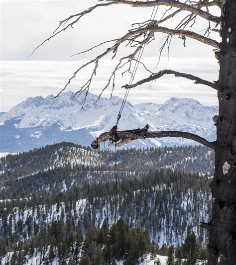 Matthew Barney: Redoubt, - FAD Magazine