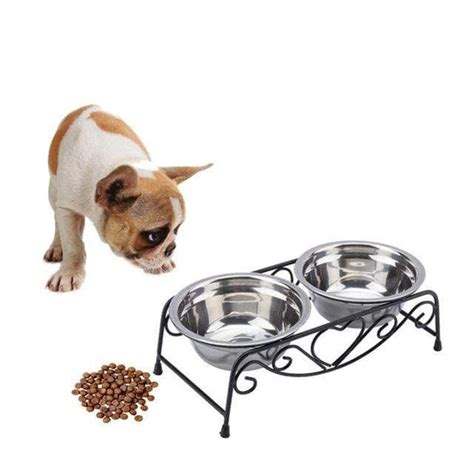 10 Best French Bulldog Food Bowls - French Bulldog Breed Essentials ...