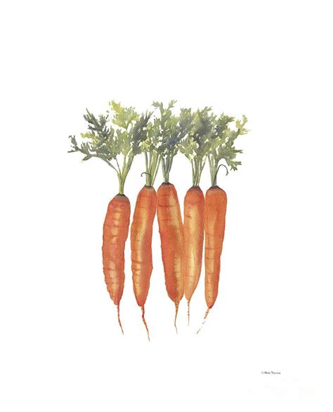 Carrots Watercolor Painting by Melly Terpening - Fine Art America