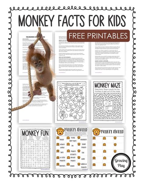 Fun Monkey Facts for Kids - Growing Play