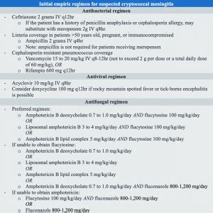 Cryptococcal Meningitis: ED presentations, evaluation, and management | LaptrinhX / News