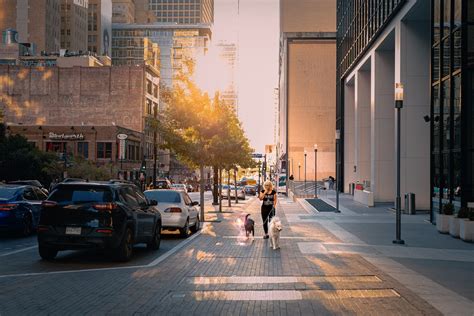 A Woman Walking Her Pet Dogs on a Sidewalk · Free Stock Photo