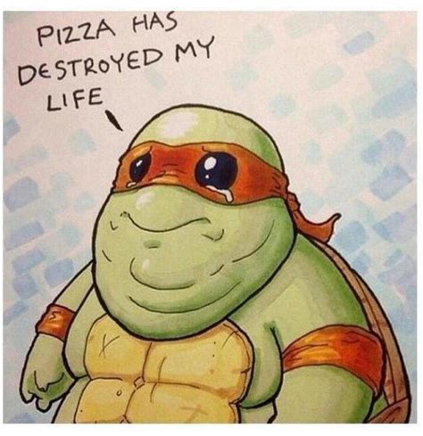 Too Much Pizza | Funny memes, Ninja turtles funny, Ninja turtle quotes