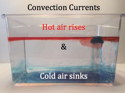 Convection Current Experiment Pdf