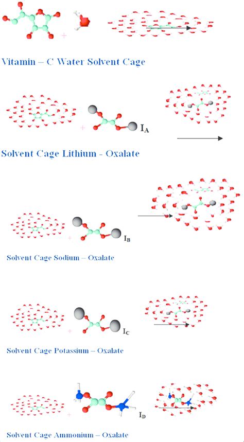 Scheme 9: The schematic representation of solute-solvent interaction ...