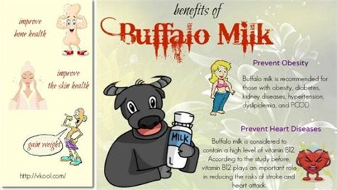 7 Health Benefits Of Buffalo Milk For Skin And Bone