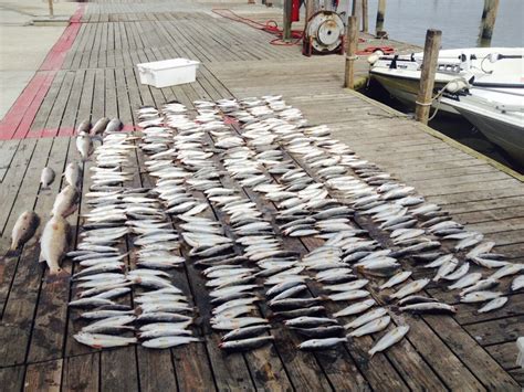 Venice Fishing Charters & Inshore Charters LA - Venice Outdoors Louisiana