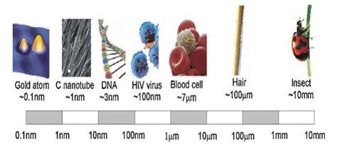 Length scale and some related example [1]. | Download Scientific Diagram