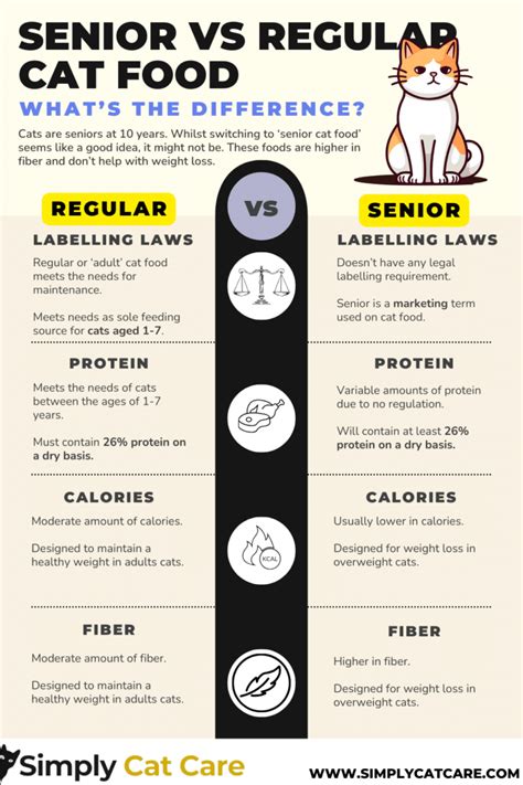 Senior Cat Food vs Regular Cat Food: What's The Difference