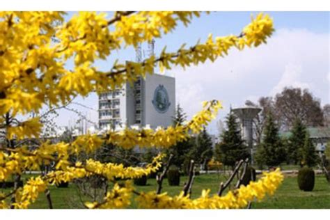 Kashmir University | Kashmir University: J-K Lieutenant Governor inaugurates 'Sonzal' festival ...