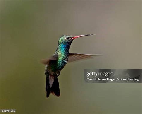 Patagonia Arizona Photos and Premium High Res Pictures - Getty Images