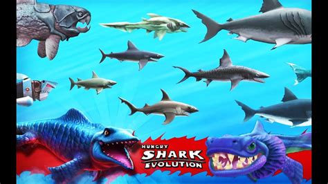 Hungry Shark Evolution - Updated All Sharks Montage - YouTube