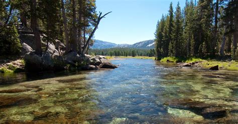 Tuolumne River Trail | Yosemite National Park, California | 10Adventures