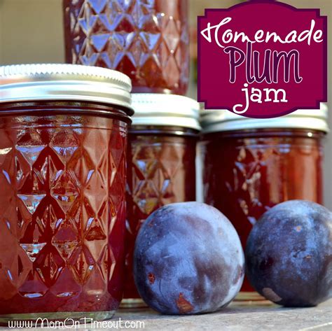 Homemade Plum Jam Recipe - Mom On Timeout