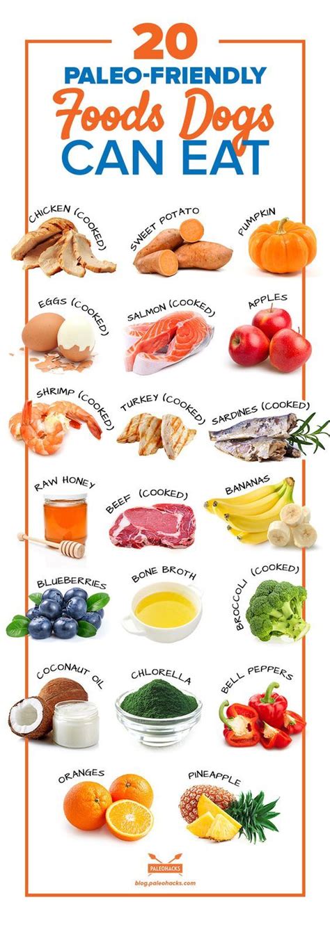 10 Healthy Ingredients to Add to Your Dog's Food | Foods dogs can eat, Raw dog food recipes ...