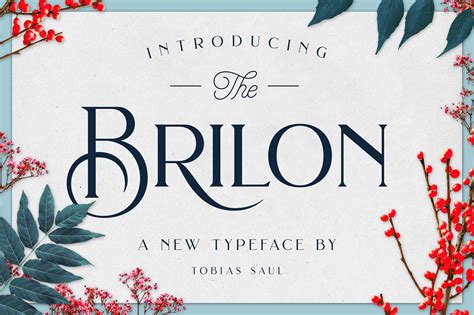 Brilon Font + Extras by Tobias Saul on @creativemarket | Decorative ...