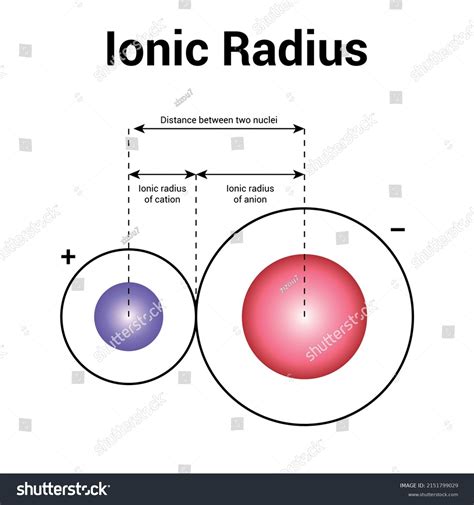 Types Atomic Radius Chemical Element Ionic Stock Vector (Royalty Free) 2151799029 | Shutterstock