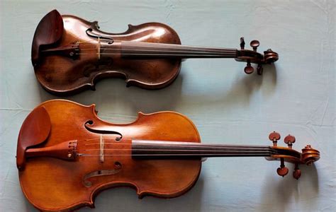 The Violin vs. the Viola » All Shore Orchestra