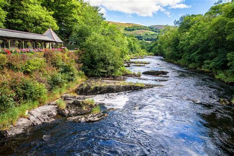 River Dee Surrounded with Trees, Wales Stock Image - Image of nature ...