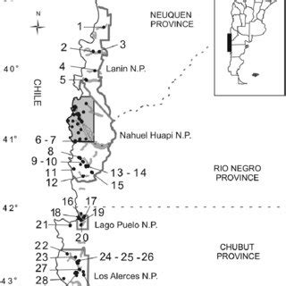 Forest and understory types for Pudu puda sighting localities in the... | Download Scientific ...