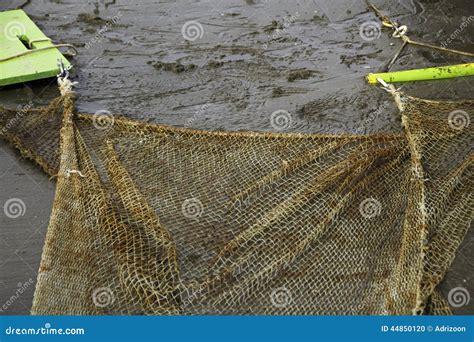 Dragnet for fishing stock photo. Image of textile, river - 44850120