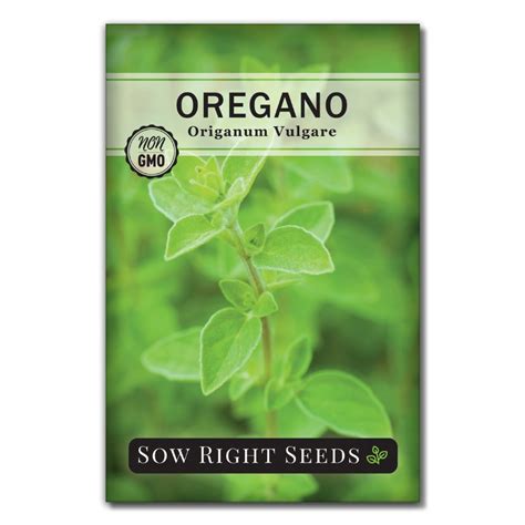 Oregano Seeds for Planting | Classic Italian Culinary Herb – Sow Right Seeds