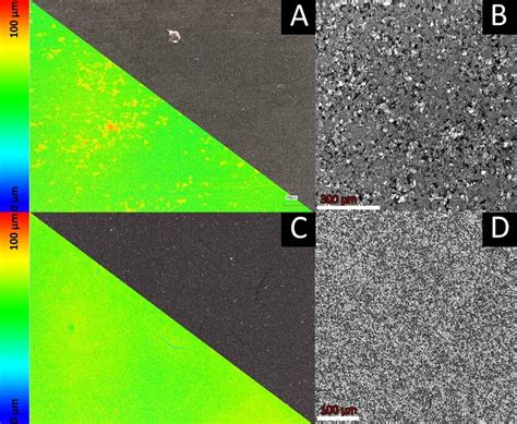 Laser scanning microscopy pictures (A, C) and SEM pictures (B, D) of... | Download Scientific ...