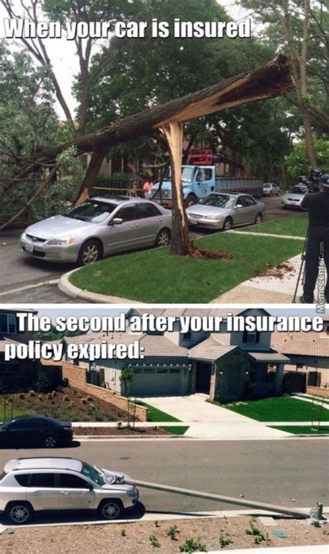 13 Most Hilarious Car Insurance Memes That Will Set Your Mood Right | Car insurance, Insurance ...
