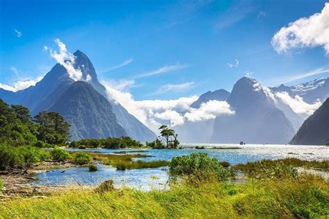 Moving to New Zealand? | The 21 Essential Things To Know