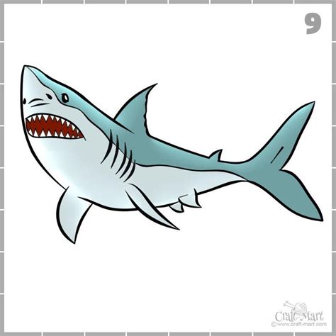 How to draw a shark in 9 easy steps | Shark drawing, Shark painting, Easy drawings