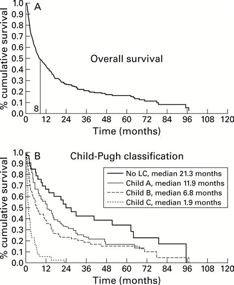 Hepatocellular carcinoma in Central Europe: prognostic features and ...