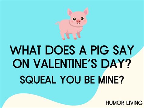 80+ Hilarious Pig Jokes to Make You Oink With Laughter - Humor Living