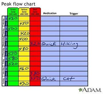 Printable Asthma Peak Flow Chart