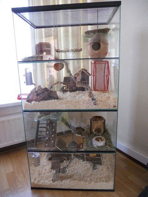 17 Cute Gerbil Cage Ideas | gerbil cages, cage, gerbil