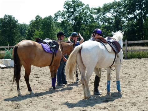 Horse Riding Summer Day Camps | ADK Stables Kingston Napanee Stone Mills