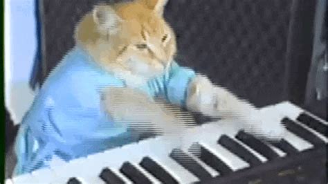 Keyboard Cat Returns in JAM-tastic Google Chrome Commercial—With Skrillex Llama | E! News