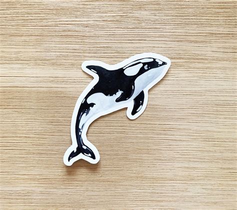 Glossy Coated Vinyl Orca Stickers : sticker