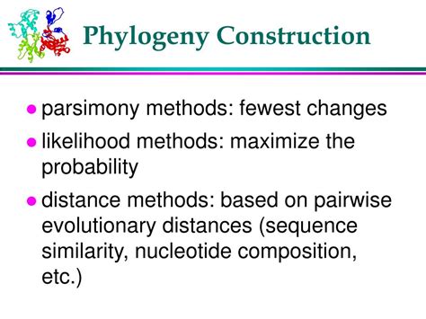 PPT - Phylogenetic Tree Construction PowerPoint Presentation, free download - ID:840794