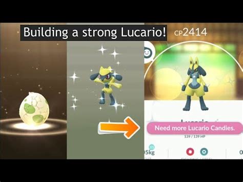 I build a strong Shiny Lucario from 2km egg. Shiny Riolu hatched! - YouTube